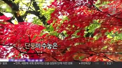 [영상구성] 북한의 가을 풍경