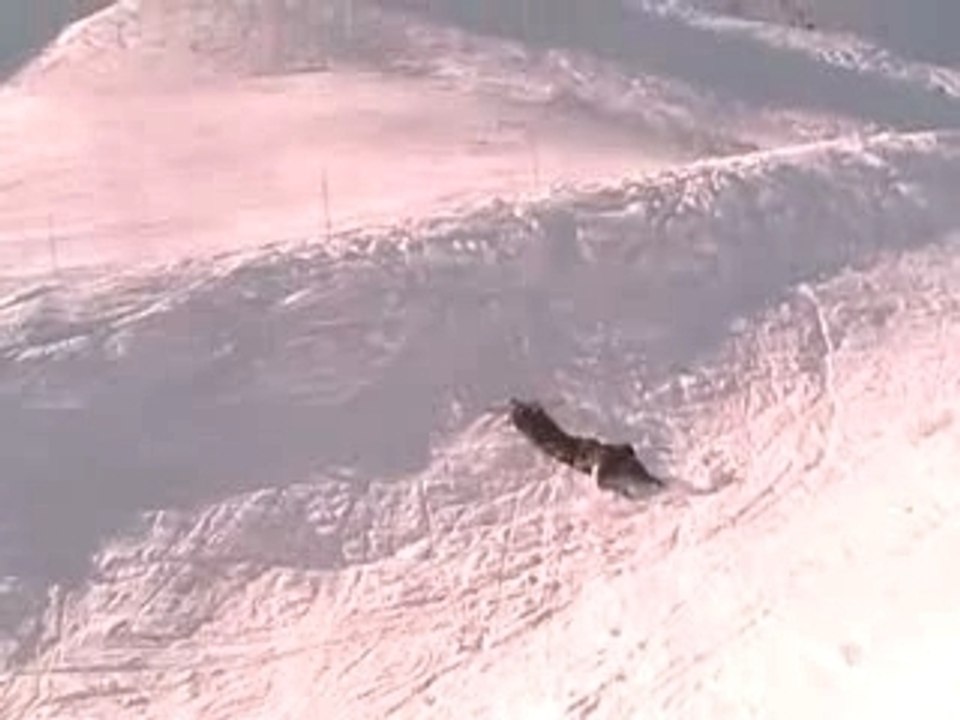 TOP CLASSEMENT SAUTS & CHUTES - SKI 2007-2008