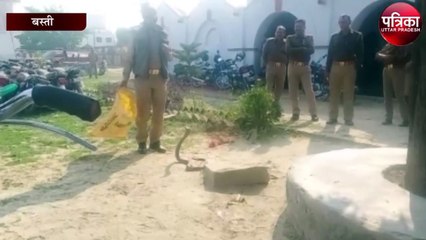थाने में कोबरा निकलने से मचा हड़कंप