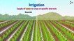 Traditional Methods of Irrigation _ Crop Production and Management