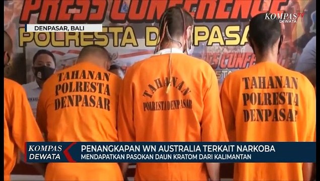 Narkoba Jenis Baru Dari Daun Kratom Pasokan Dari Kalimantan