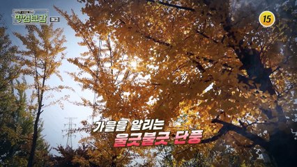환절기 내 몸이 무너진다?!_명심보감 14회 예고