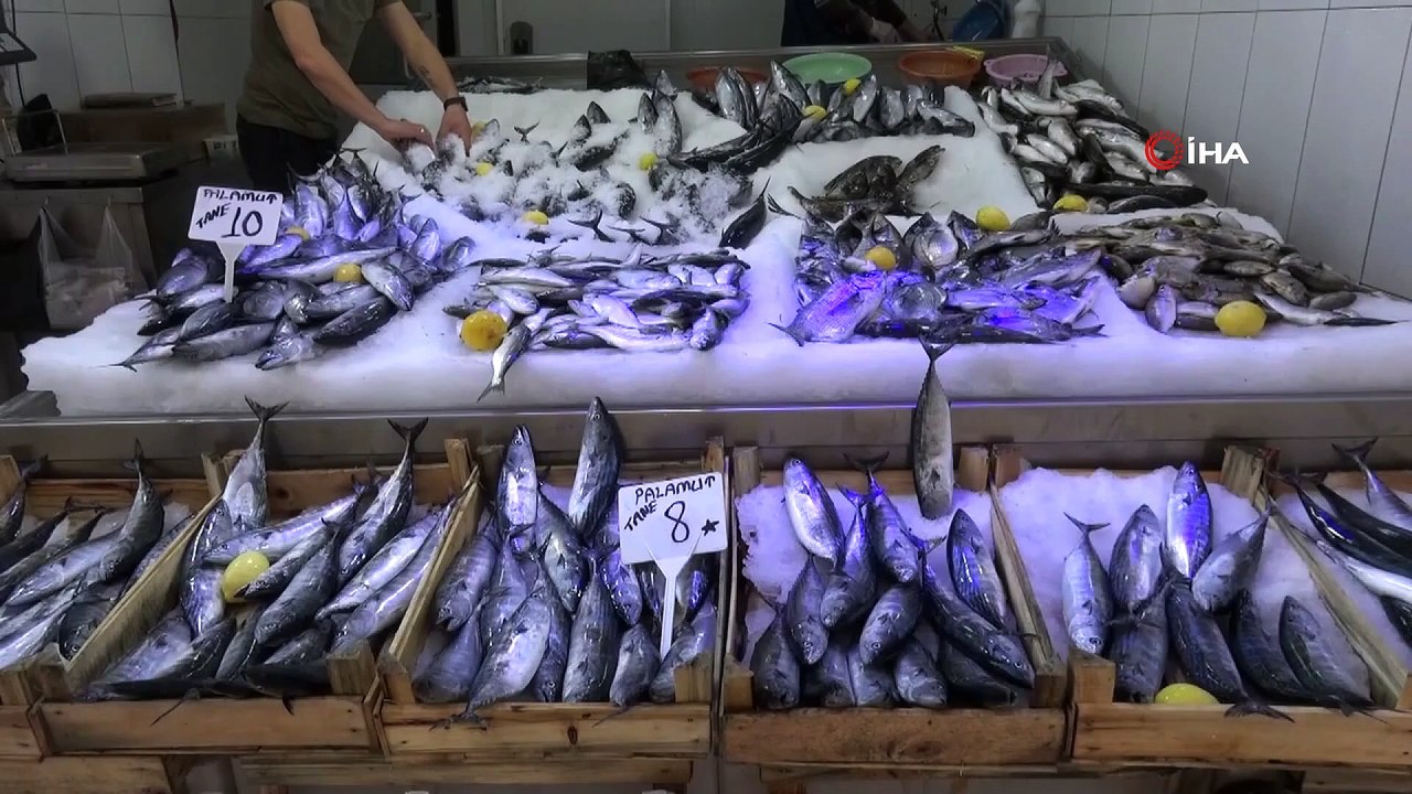 Sinop’ta lakerda dönemi