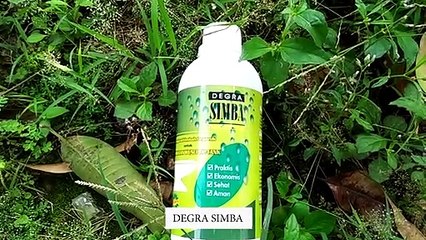 TERAMPUH WA 081296272689 Jual Degra Simba di Kota Tasikmalaya