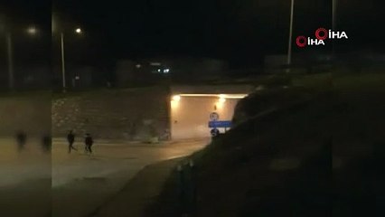 Bursa’da aç domuzlar şehire indi