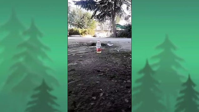 Funny video of a bird drinking water. See how this bird drinks water.