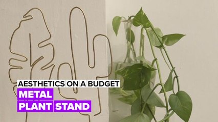 Aesthetics on a Budget: Metal plant stand