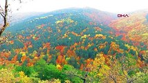 Kaz Dağları sonbaharda rengarenk