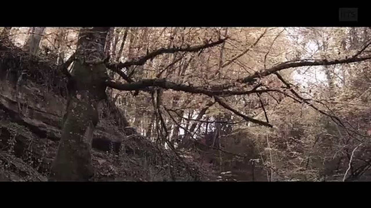 Une période difficile (52 minutes)