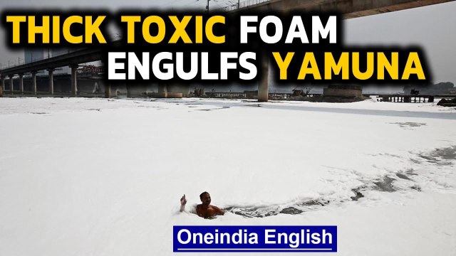 Delhi: Thick layer of toxic foam floats on the surface of Yamuna: Watch the video | Oneindia News