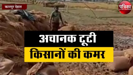 इस वजह से अचानक टूटी किसानों की कमर, किसानों को हुआ भारी नुकसान