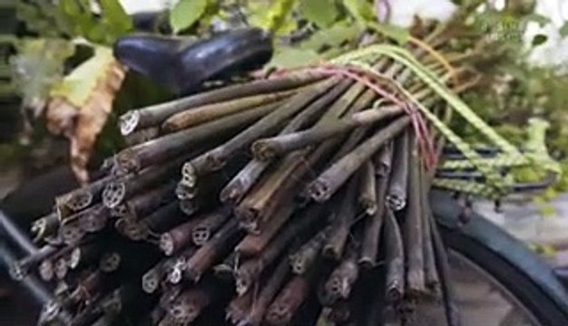 Lotus silk is one of the rarest fabrics in the world, but what makes it so expensive?