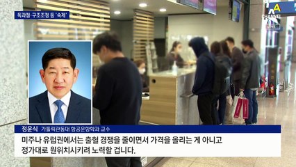 경영권 분쟁·구조조정·마일리지 ‘산 넘어 산’…독점 우려도