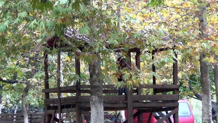 GAZİANTEP - Amanosların eteğindeki İdilli Vadisi'nde, sonbahar güzelliği