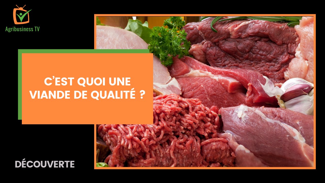 Découverte : C’est quoi une viande de qualité ?
