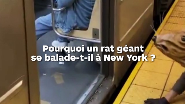 Qui est cet homme qui se balade à New York déguisé en rat ?