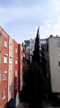 ADANA - Ağaçta mahsur kalan kedi itfaiye merdiveninden indi