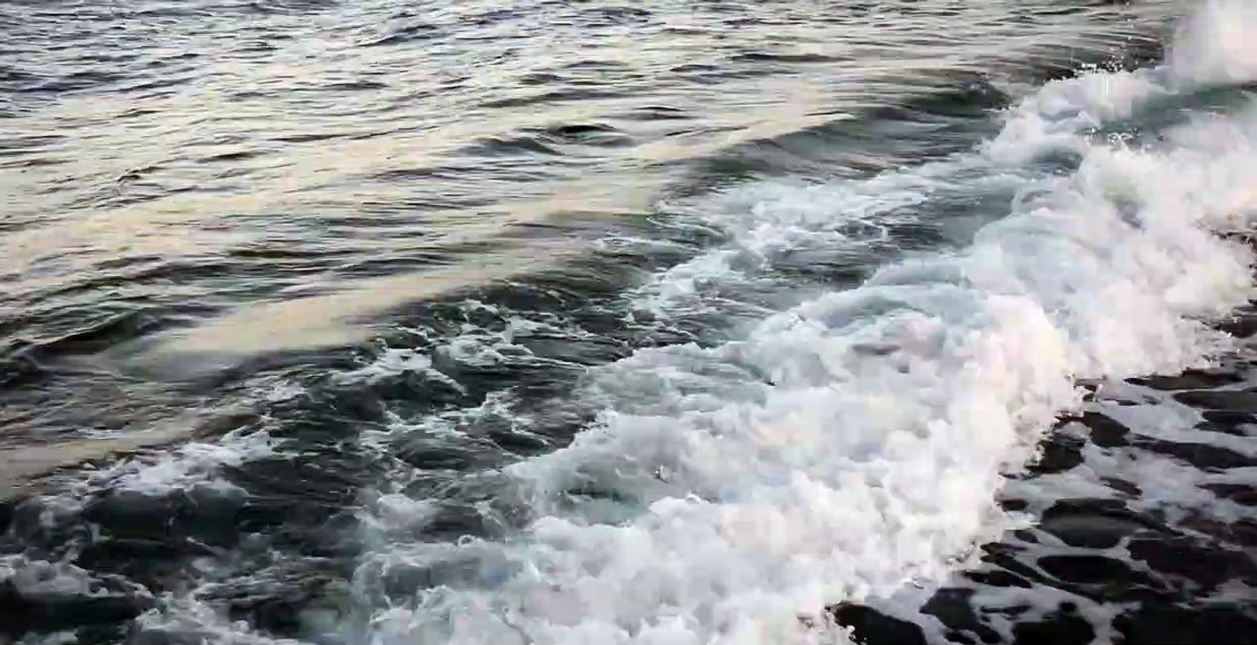 Santa Monica Beachnatural beautiful royalty Free Stock no copyright video Free for commercial use dron dron aerial view (2)