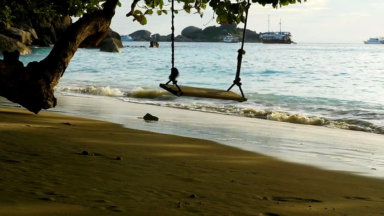 Rope swing on the beach at sunsetnatural beautiful royalty Free Stock no copyright video Free for commercial use dron dron aerial view
