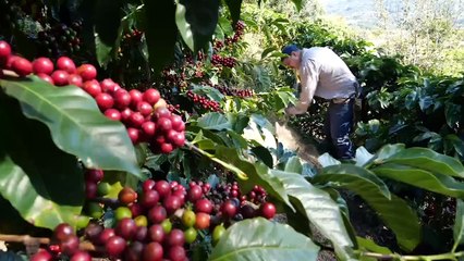 Esquina Neutral 13 nov 20