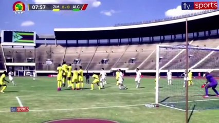 Zimbabwe - Algérie (2-2) : Le résumé des buts