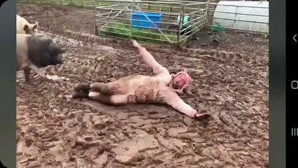 'AntWatch - Pig Edition' from White Post Farm.