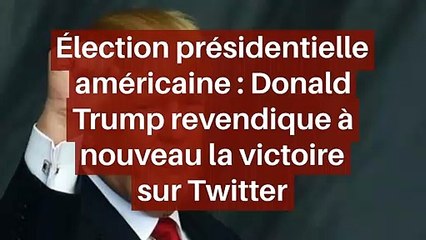 Élection présidentielle américaine : Donald Trump revendique à nouveau la victoire sur Twitter_IN