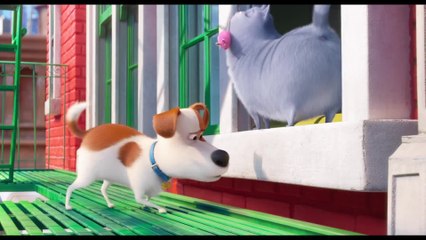 The Secret Life of Pets - Clip Max Complains (English) HD