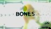 Bones - S07 Intro Clip (English) HD