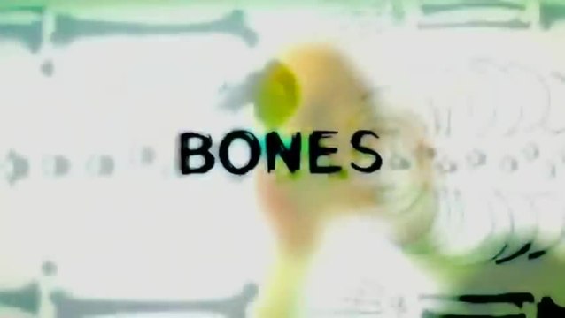 Bones - Die Knochenjägerin - Staffel 3