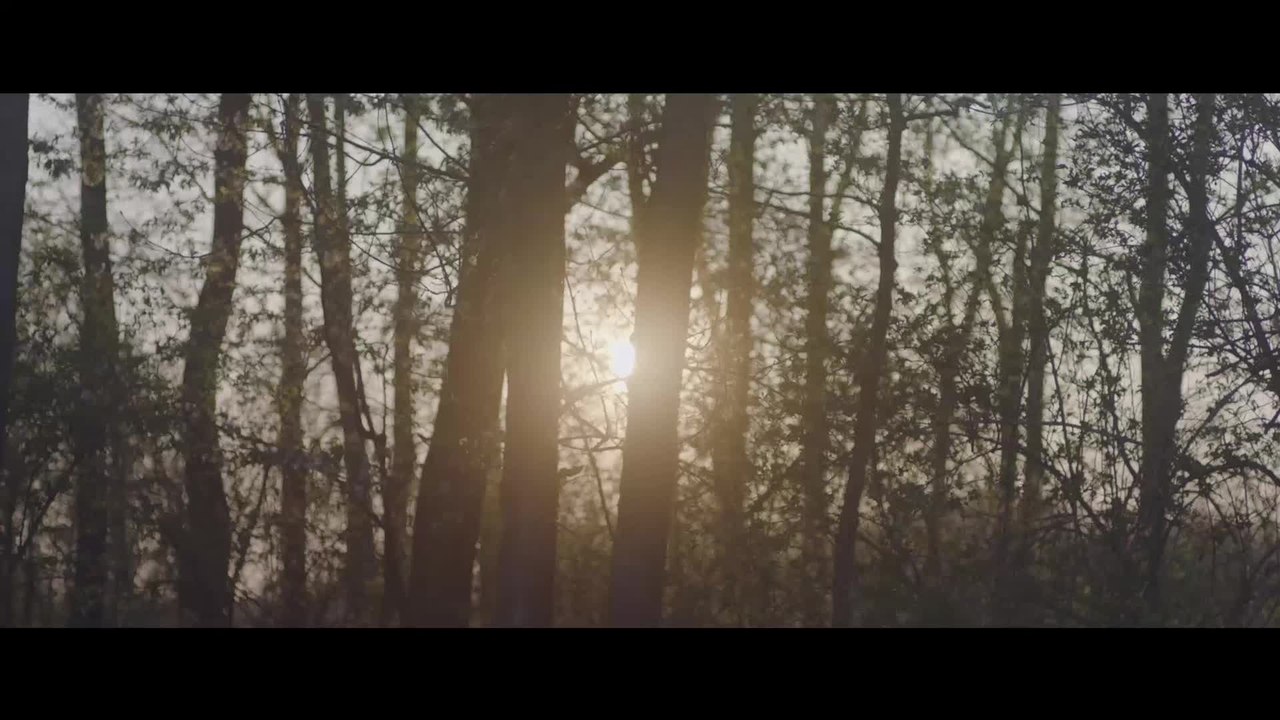 24 Wochen - Clip Zu uns ziehen (Deutsch) HD