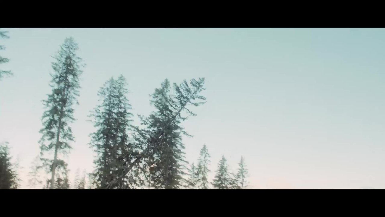 Das kalte Herz - Clip Skrupellose HolzhÃ¤ndler