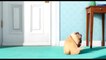 The Secret Life of Pets - Featurette A look inside (English) HD