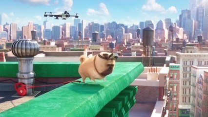 The Secret Life of Pets - Clip Be a hero (English) HD