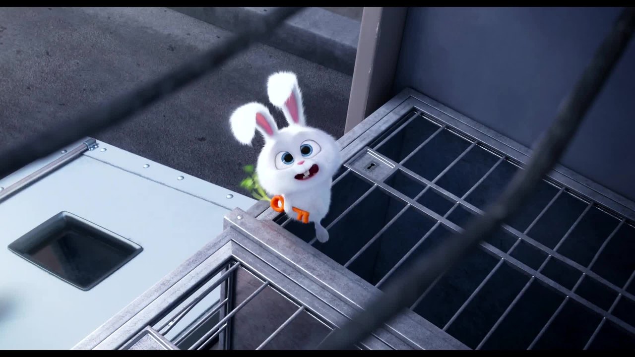 Pets - Clip Duke und Max treffen Snowball (Deutsch) HD