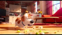 Pets - Clip Max versucht Duke reinzulegen (Deutsch) HD