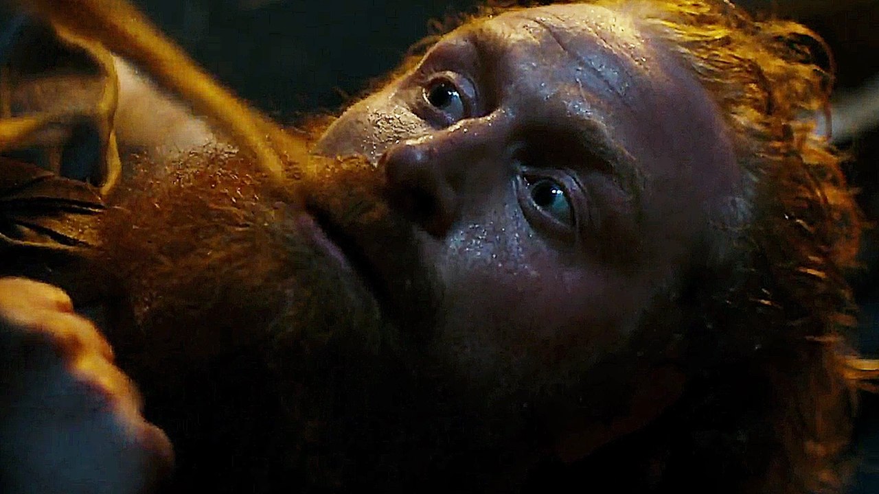 The Last King - Trailer (Deutsch) HD