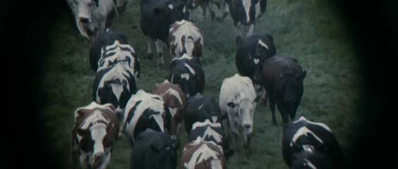 Come what May - Clip (English) HD