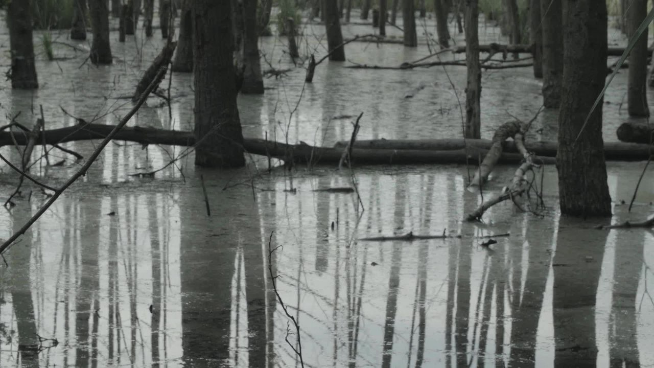 Fukushima und die Mopsfledermaus - Trailer (Deutsch) HD