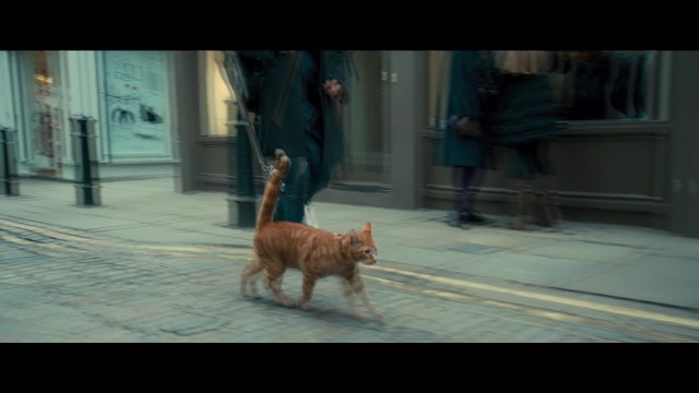 Bob, der Streuner - Clip Bob erkundet Covent Garden (Deutsch) HD