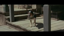 In a Valley of Violence - Clip Get Away From My Dog (English) HD