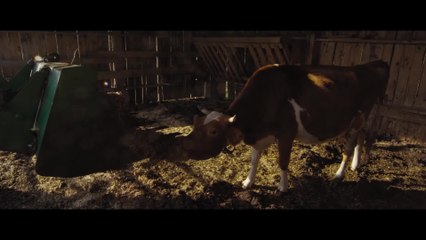 Peter and the Farm - Clip Conceived (English) HD