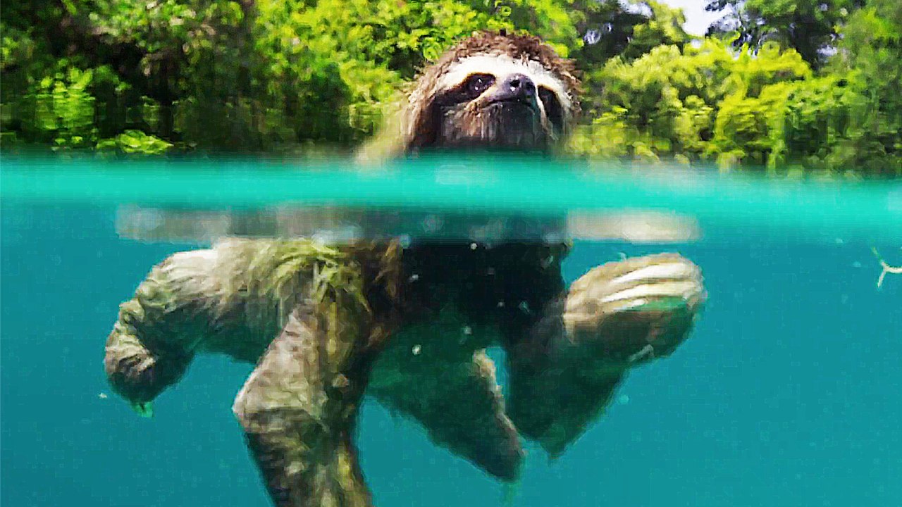 Planet Erde - S02 Teaser (Deutsch) HD