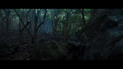 The Wailing - Clip 01 The Deer Hunter (English) HD