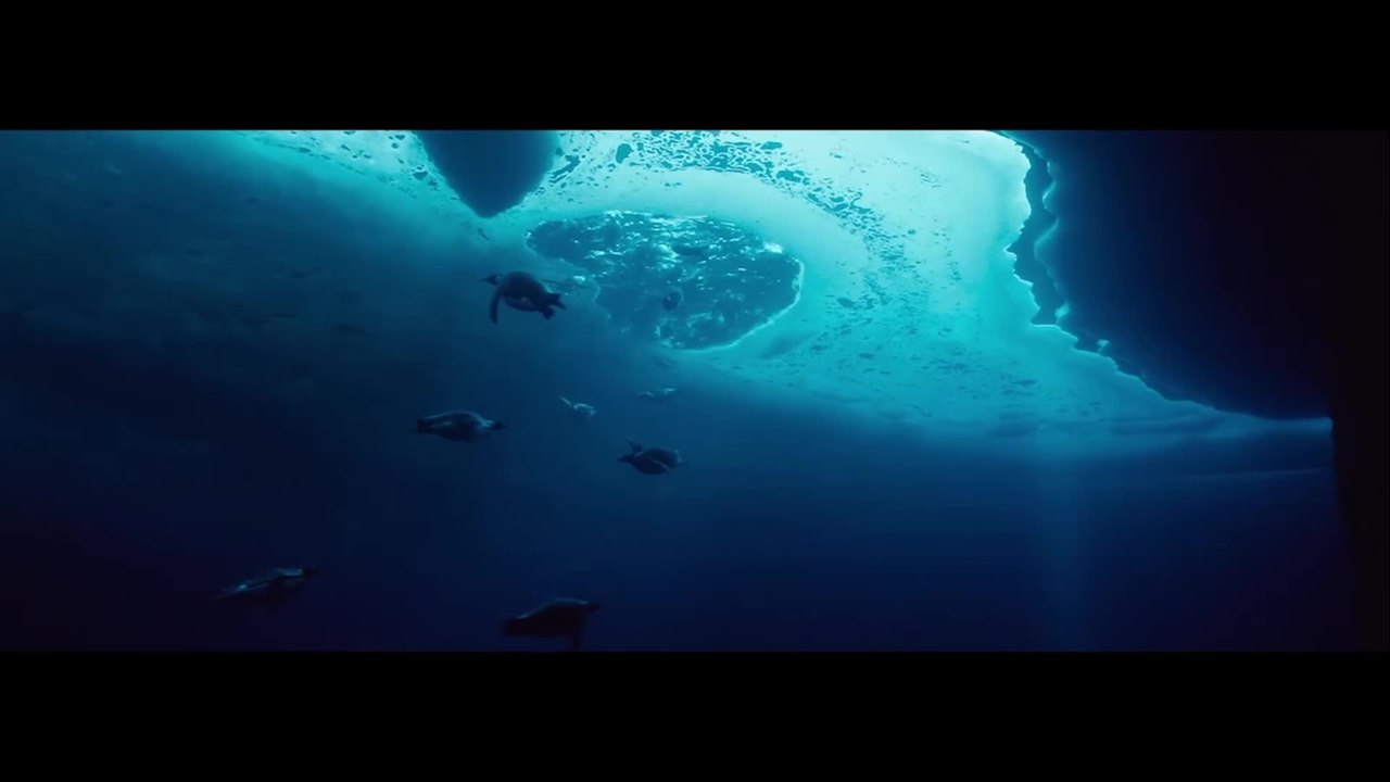 Jacques Entdecker der Ozeane - Clip Jacques erkennt Not zu Handeln (Deutsch) HD