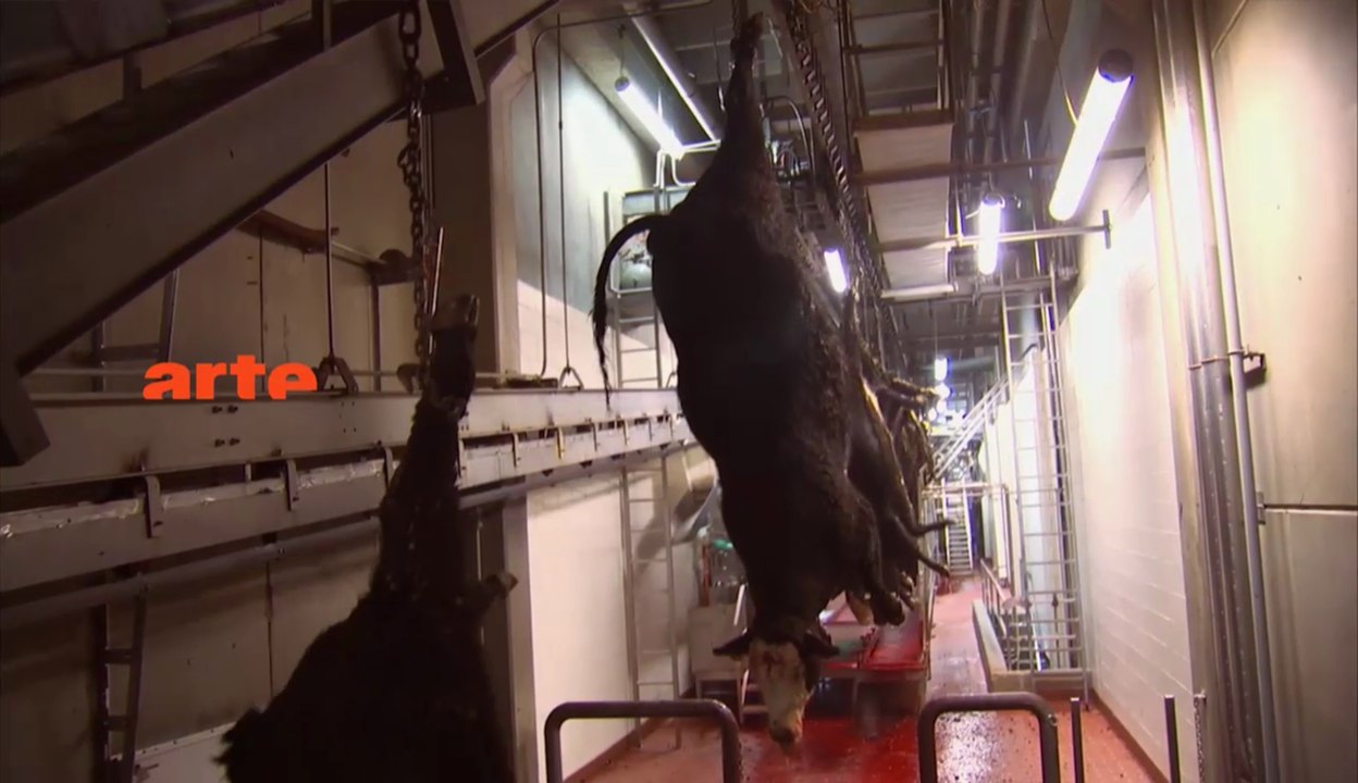 Brauchen Tiere Rechte - Trailer (Deutsch) HD