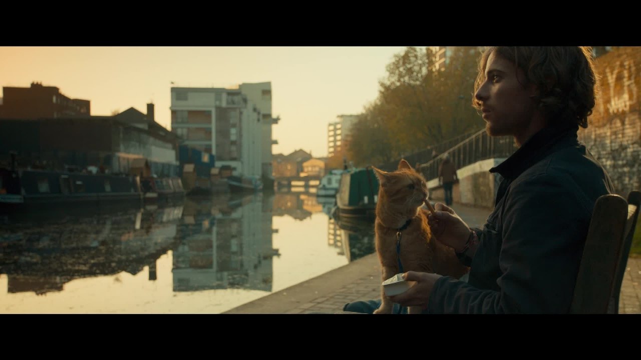 Bob, der Streuner - Clip Ein neues Leben beginnt (Deutsch) HD