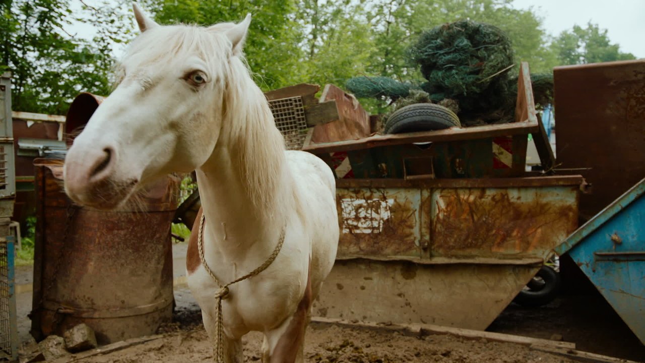 Wendy Der Film - Clip Wendy befreit Dixie (Deutsch) HD