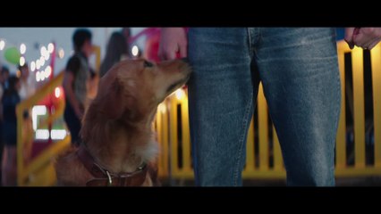 A Dog's Purpose - Clip Bailey Notices a New Smell on Ethan (English) HD