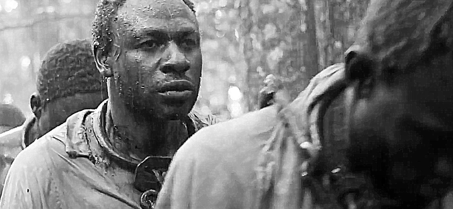 Vazante - Clip (no spoken language)